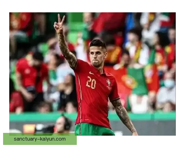 坎塞洛争议事件引发体育界对道德与公平竞争的深刻反思，值得关注。