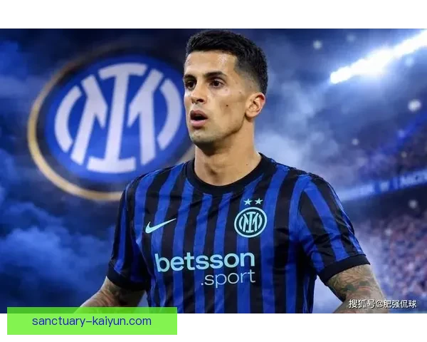 坎塞洛技术特点分析：发挥稳定的进攻与防守双重能力